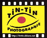 tintin photographie