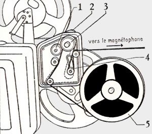 Synchrovox Cinégel